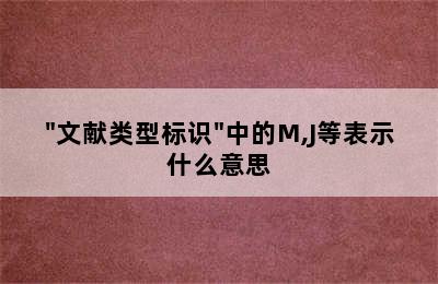 "文献类型标识"中的M,J等表示什么意思